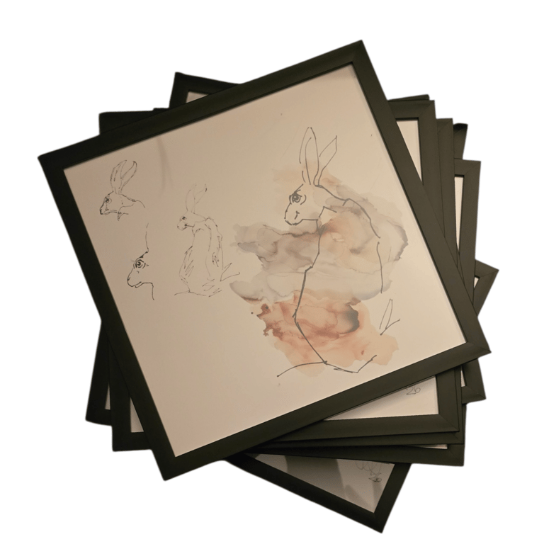 Prints of original hare sketches 