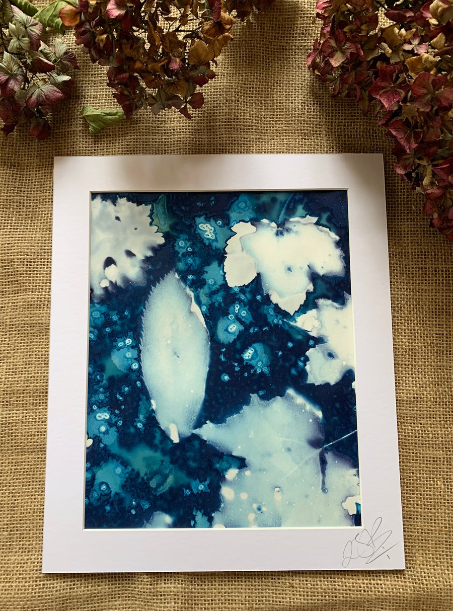Wet Cyanotype Leaves Print
