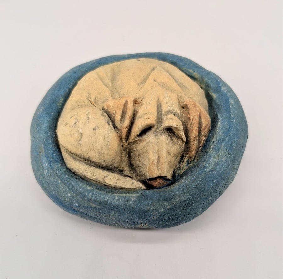 Yorkshire Pudding - Yellow Labrador