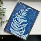 Original cyanotype mounted in a silver frame ready for display