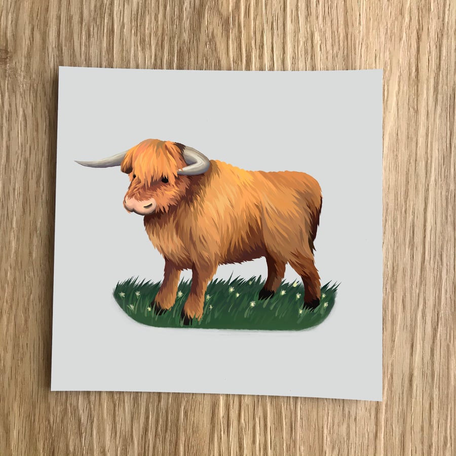 Highland Cow Square Post Card Print