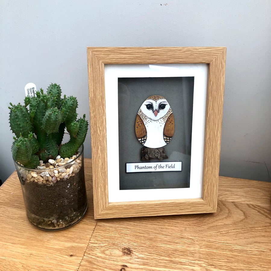 Barn owl box picture frame