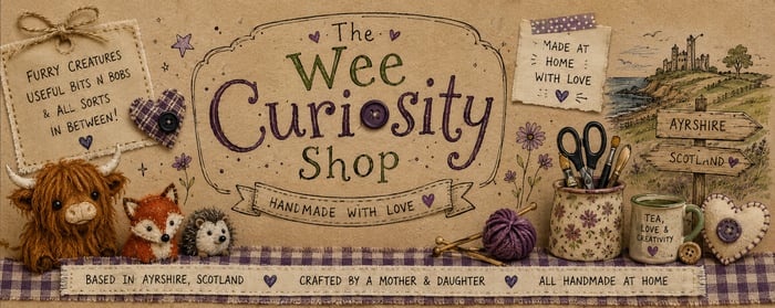 The Wee Curiosity Shop