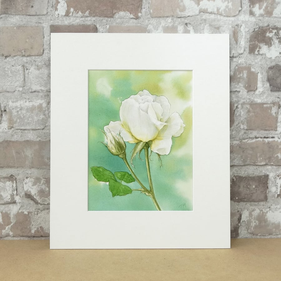 Floral Rose Watercolour Painting Art  'Vanessa Bell'