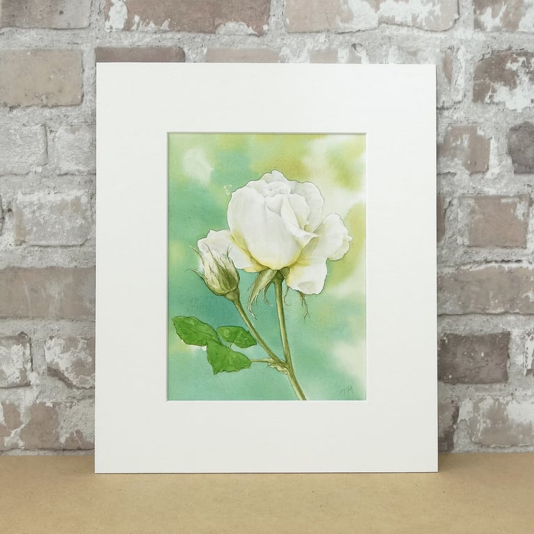 Floral Rose Watercolour Painting Art  'Vanessa Bell'