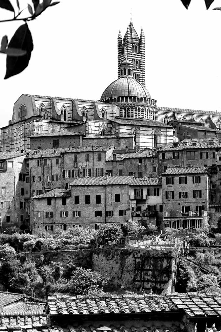 Siena Skyline Cityscape Tuscany Italy Photograph Print