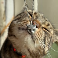 Sterling Silver Medieval Cat Pendant . Medieval Manuscript Cat Pendant 