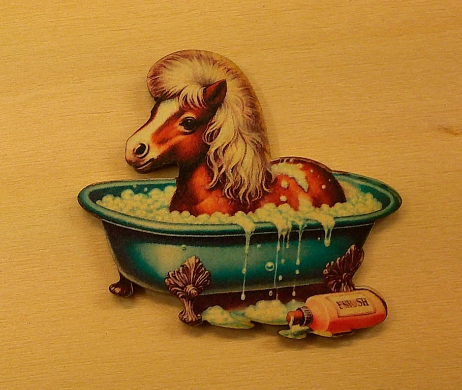 Shetland Pony taking his bath. whimsical wooden brooch.