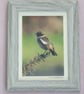 Framed Original Photo of a Female Stonechat - Image 1
