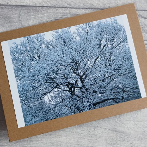 Oak in Snow Greetings Card (A), Christmas Card, Yule Card