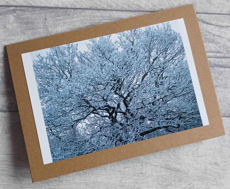 Oak in Snow Greetings Card (A), Christmas Card, Yule Card