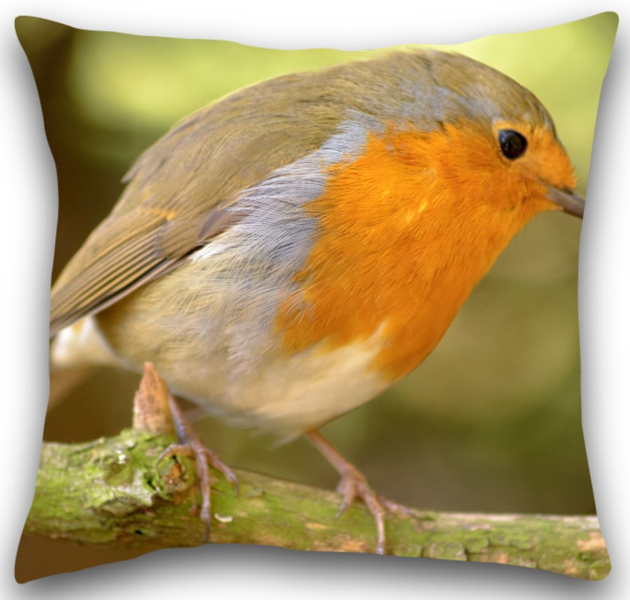 Robin Cushion Robin cushion cover