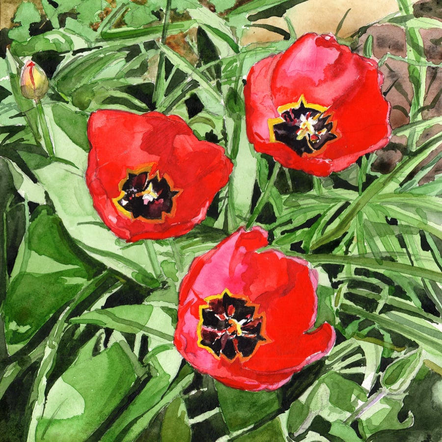 Scene In My Garden 4. Three tulips. Original watercolour painting