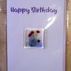 Scenic Poppy Field Birthday Card