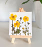 Real Pressed Buttercups Miniature Botanical Canvas on Wooden Easel - Image 2