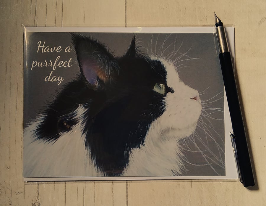 Birthday card. Cat birthday card. Maine Coon. Greetings card. Printed card.