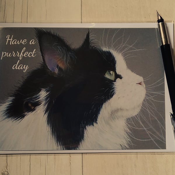 Birthday card. Cat birthday card. Maine Coon. Greetings card. Printed card.