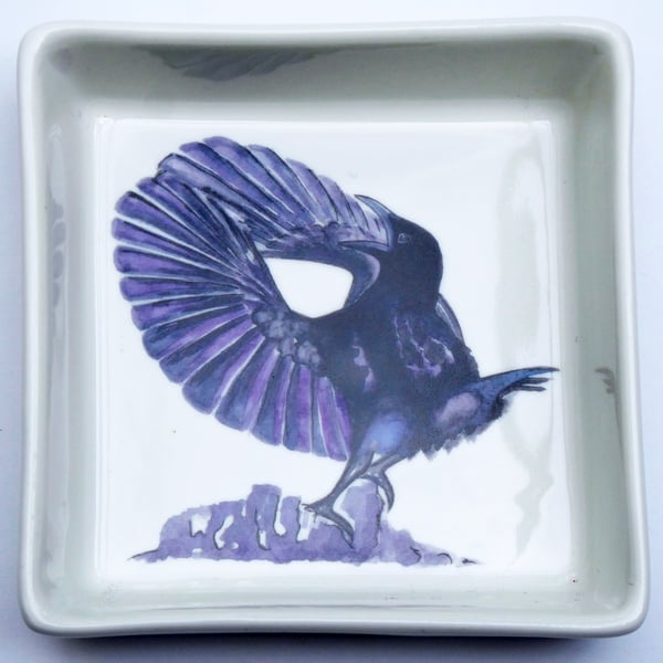 Paradise Riflebird Design Ceramic Dish, 10 x 10cm, Many Uses