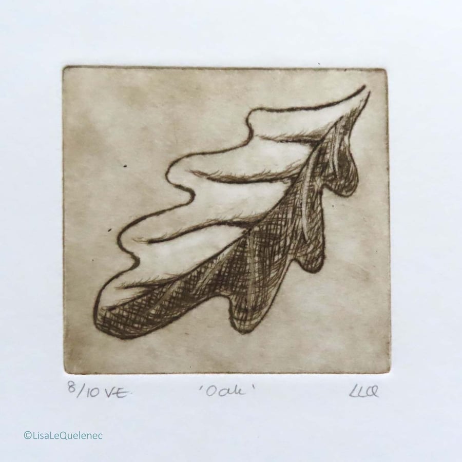 Oak drypoint no.8 of 10 forest floor shades of autumn small scale print