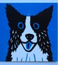 BORDER COLLIE DOG  ON BLUE BLANK CARD - Image 1