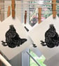 Little maran hen - Image 5