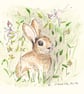 Original Ink and watercolour - Bunny amongst the flowers - Minature Art