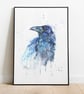 Raven 'Beguiling'. A Fine Art Print from an Original Watercolour Painting