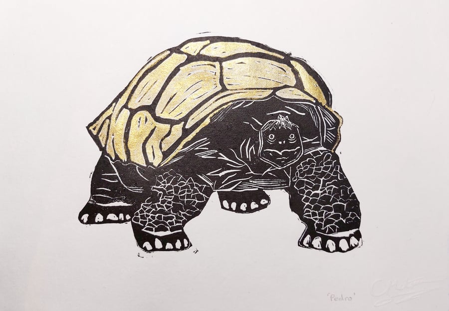 'Pedro' Tortoise Lino cut print - A4 lino cut print
