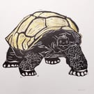 'Pedro' Tortoise Lino cut print - A4 lino cut print