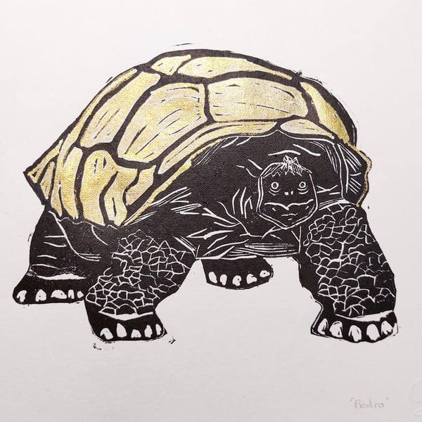 'Pedro' Tortoise Lino cut print - A4 lino cut print