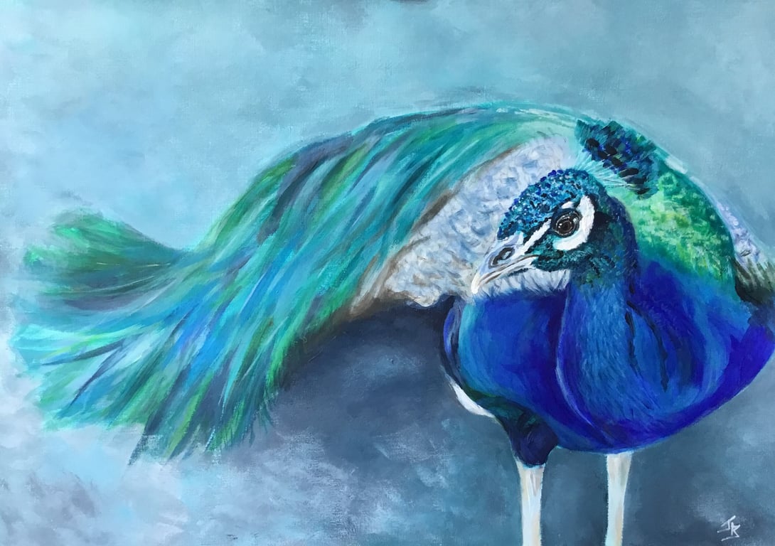 Giclee print of stunning peacock painting by Janet Bird