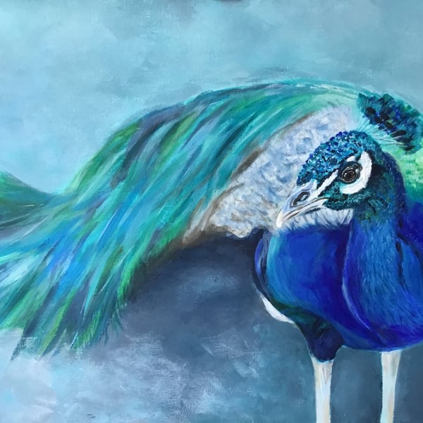Giclee print of stunning peacock painting by Janet Bird