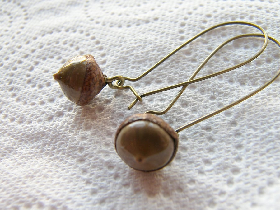 Real Tiny Acorn Woodland Earrings
