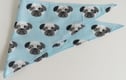 Pets 