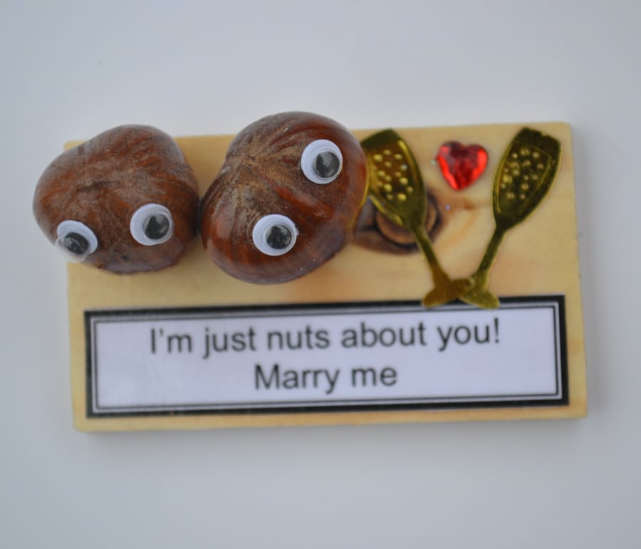 Nutty Gift - Marry me