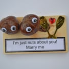 Nutty Gift - Marry me