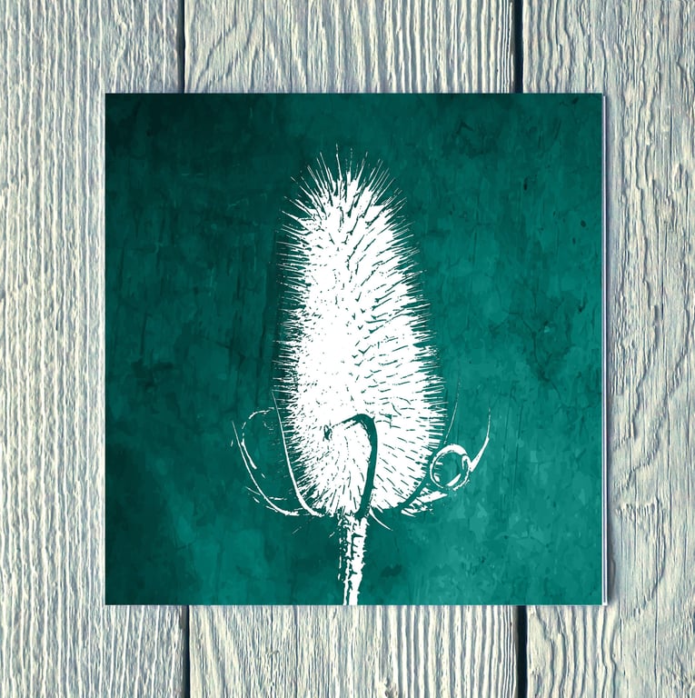 Teasel Winter Seed Head, Greetings Card