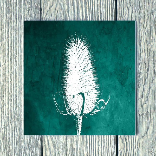 Teasel Winter Seed Head, Greetings Card