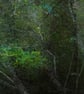 'What The River Says (1)' - Image 5