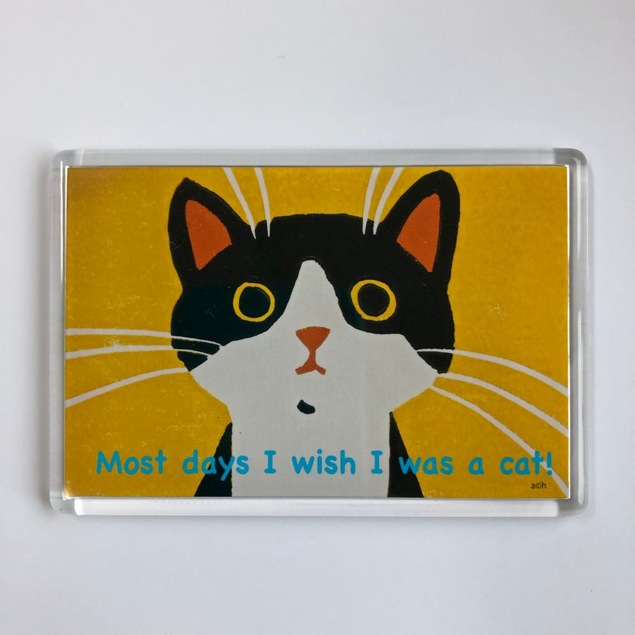 MOST DAYS I WISH I WAS A CAT-CURIOUS CAT FRIDGE MAGNET