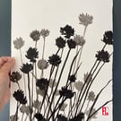 Garden Chives, shadow painting, original art, signed