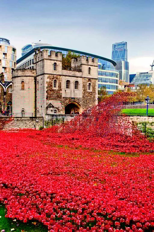 Tower of London Red Poppy Poppies Photograph Print