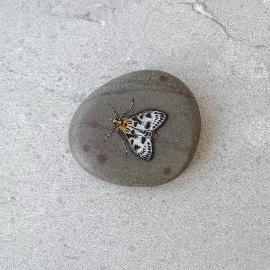 Original Art Moth Hand Painted Stone Pebble 'Small Magpie Moth'