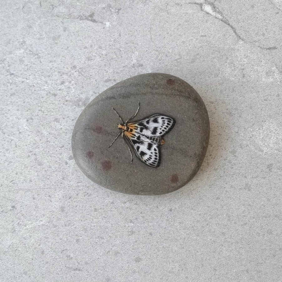 Moth Art Hand Painted Stone Pebble 'Small Magpie Moth'