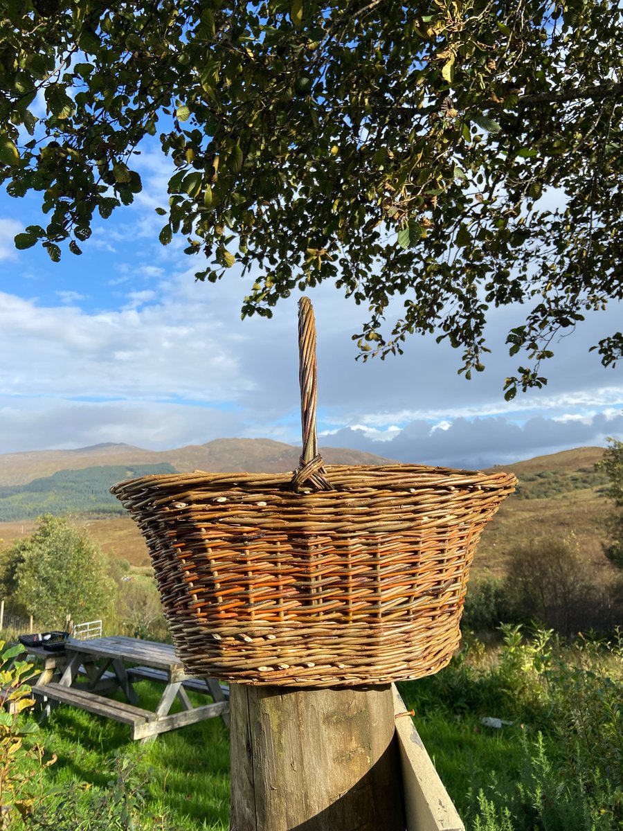 Large Flared Oval Basket
