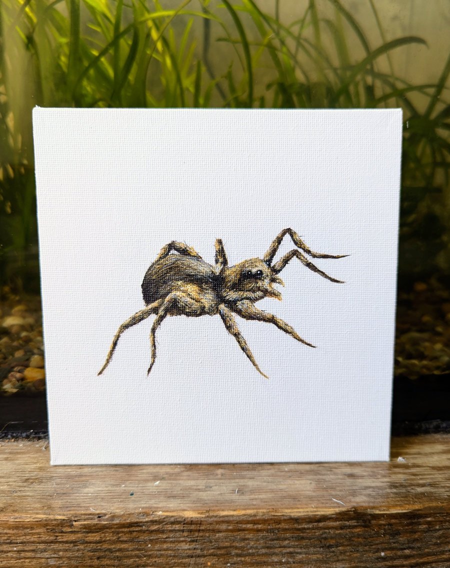 Garden Wolf Spider Acrylic Painting 