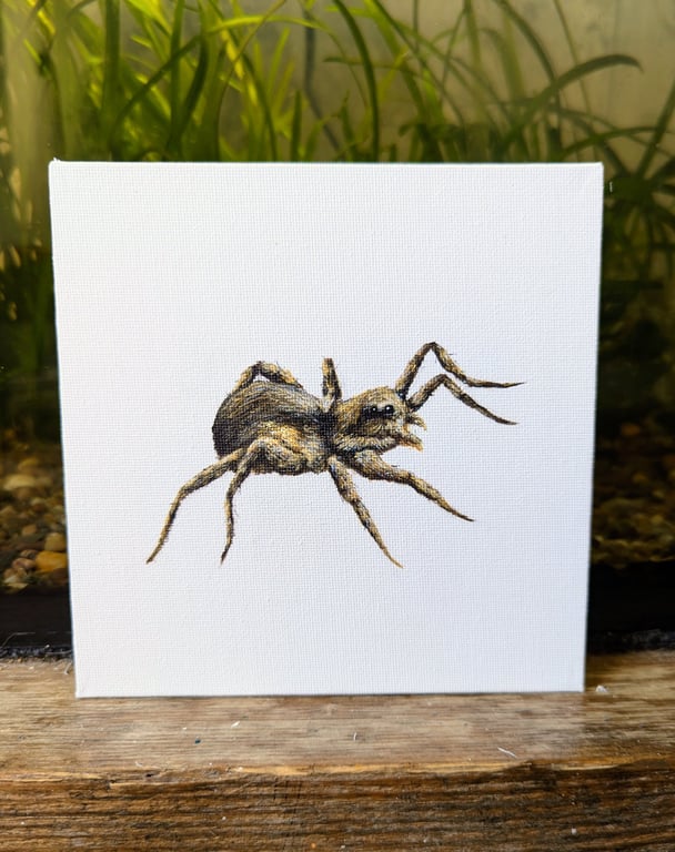 Garden Wolf Spider Acrylic Painting 