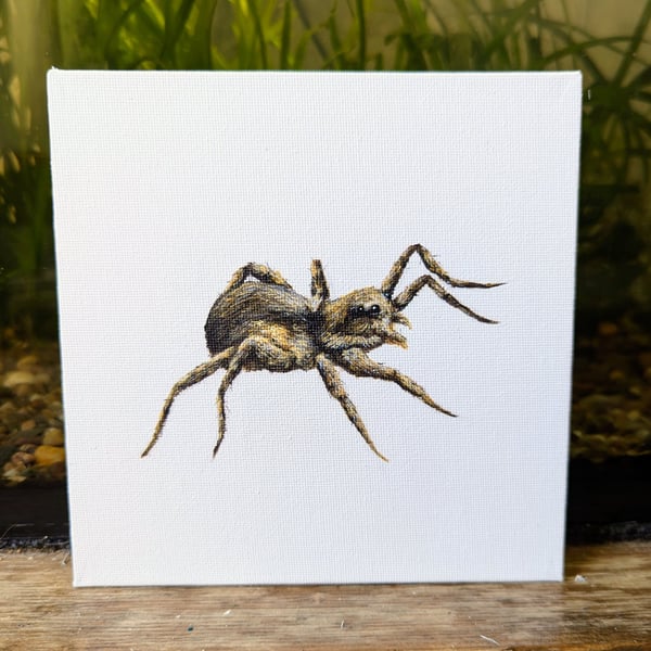 Garden Wolf Spider Acrylic Painting 