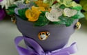 Pots of Flowers