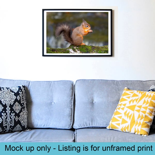 Red squirrel and the hazelnut print